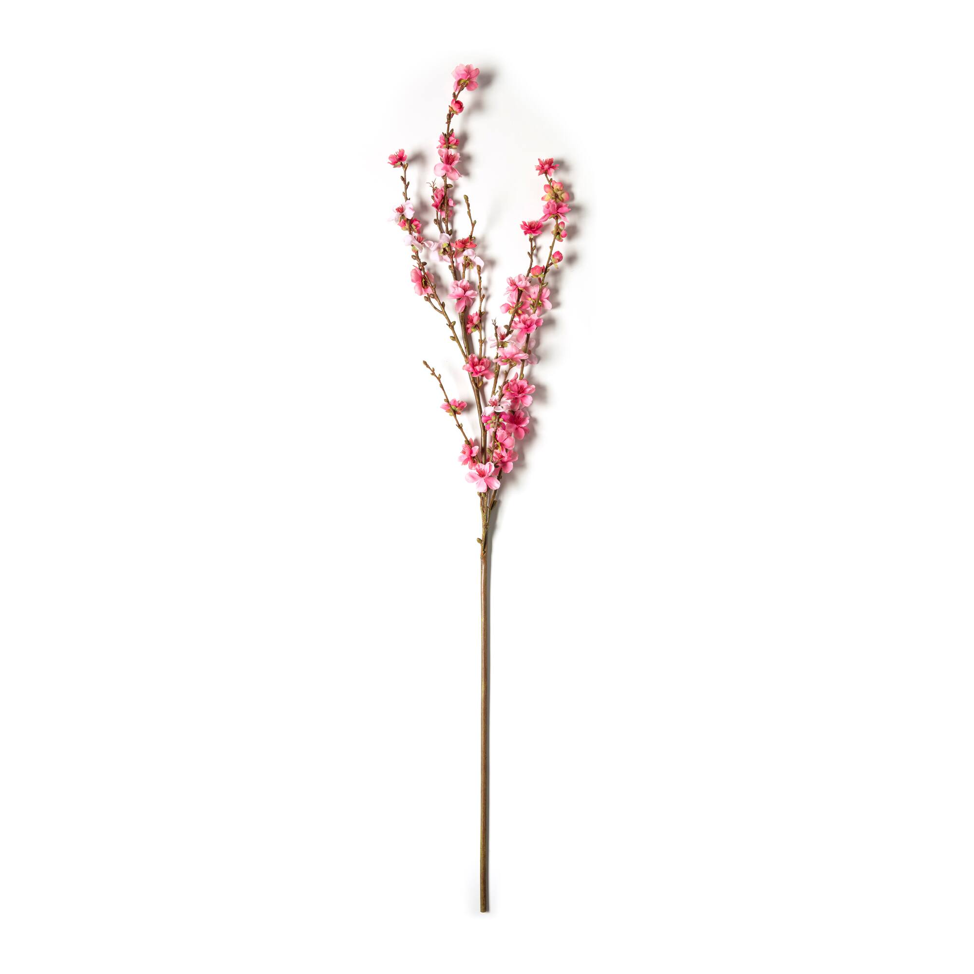 12 Pack: Pink Peach Blossom Stem by Ashland®